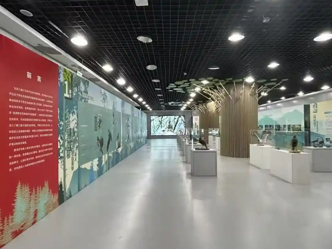 pg�ͽ�Ů��-(�ٷ���)�й���վ