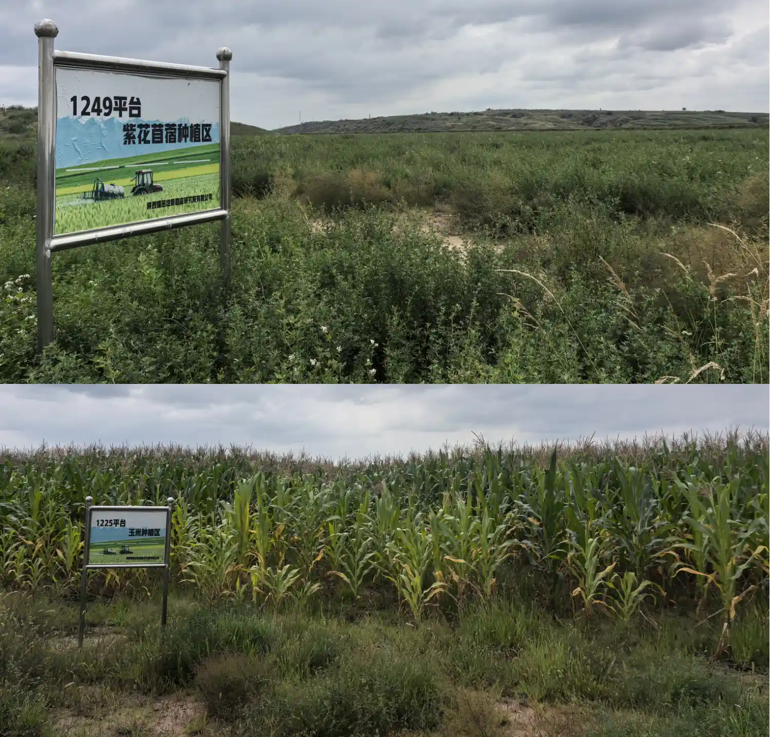 pg�ͽ�Ů��-(�ٷ���)�й���վ