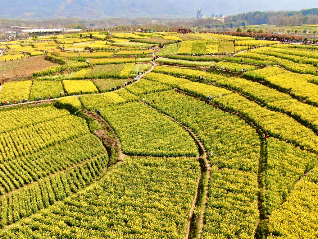 pg�ͽ�Ů��-(�ٷ���)�й���վ