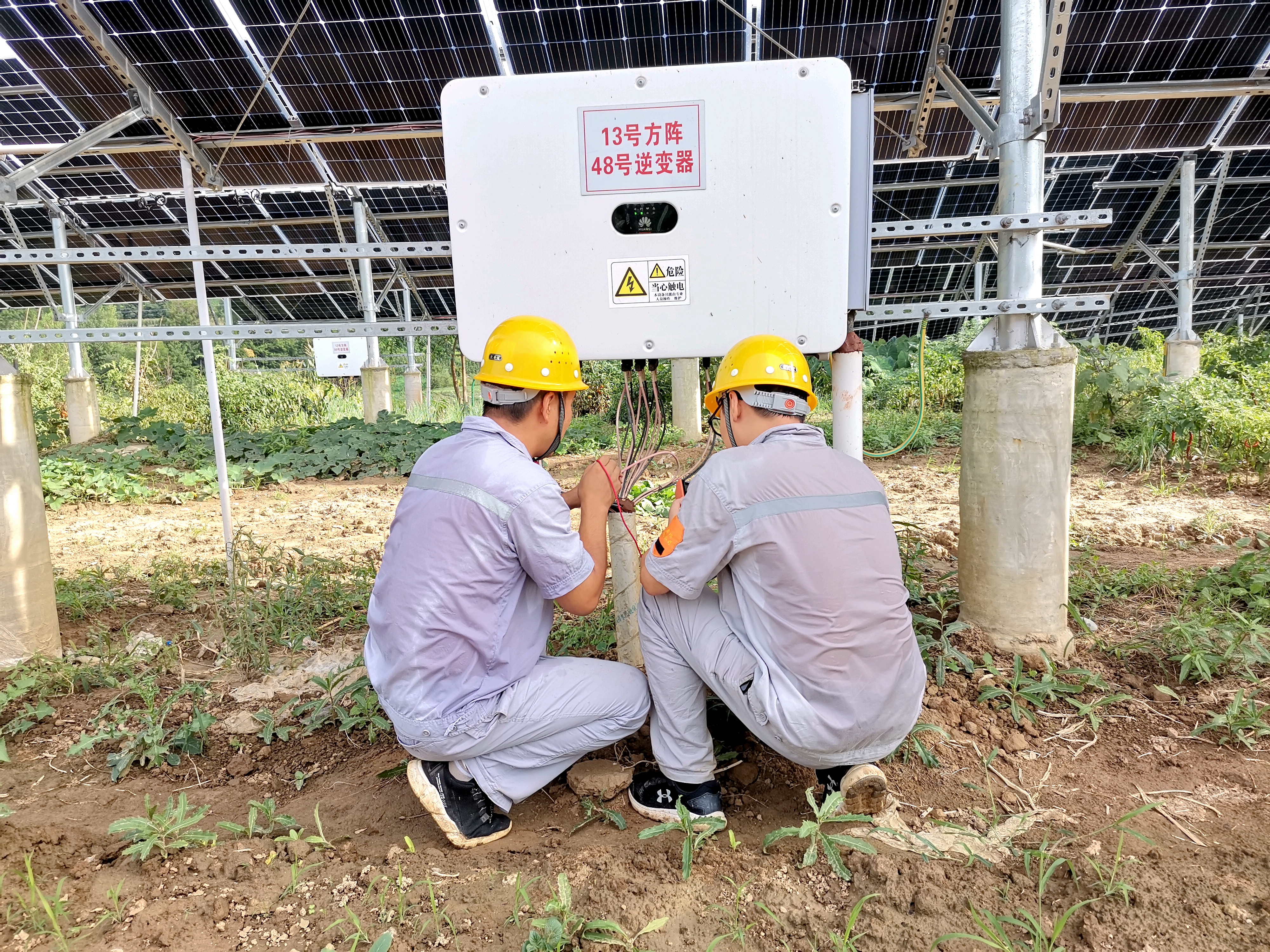 pg�ͽ�Ů��-(�ٷ���)�й���վ