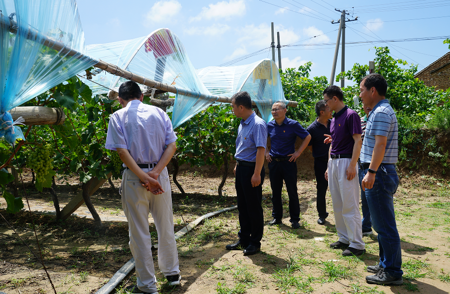 pg�ͽ�Ů��-(�ٷ���)�й���վ