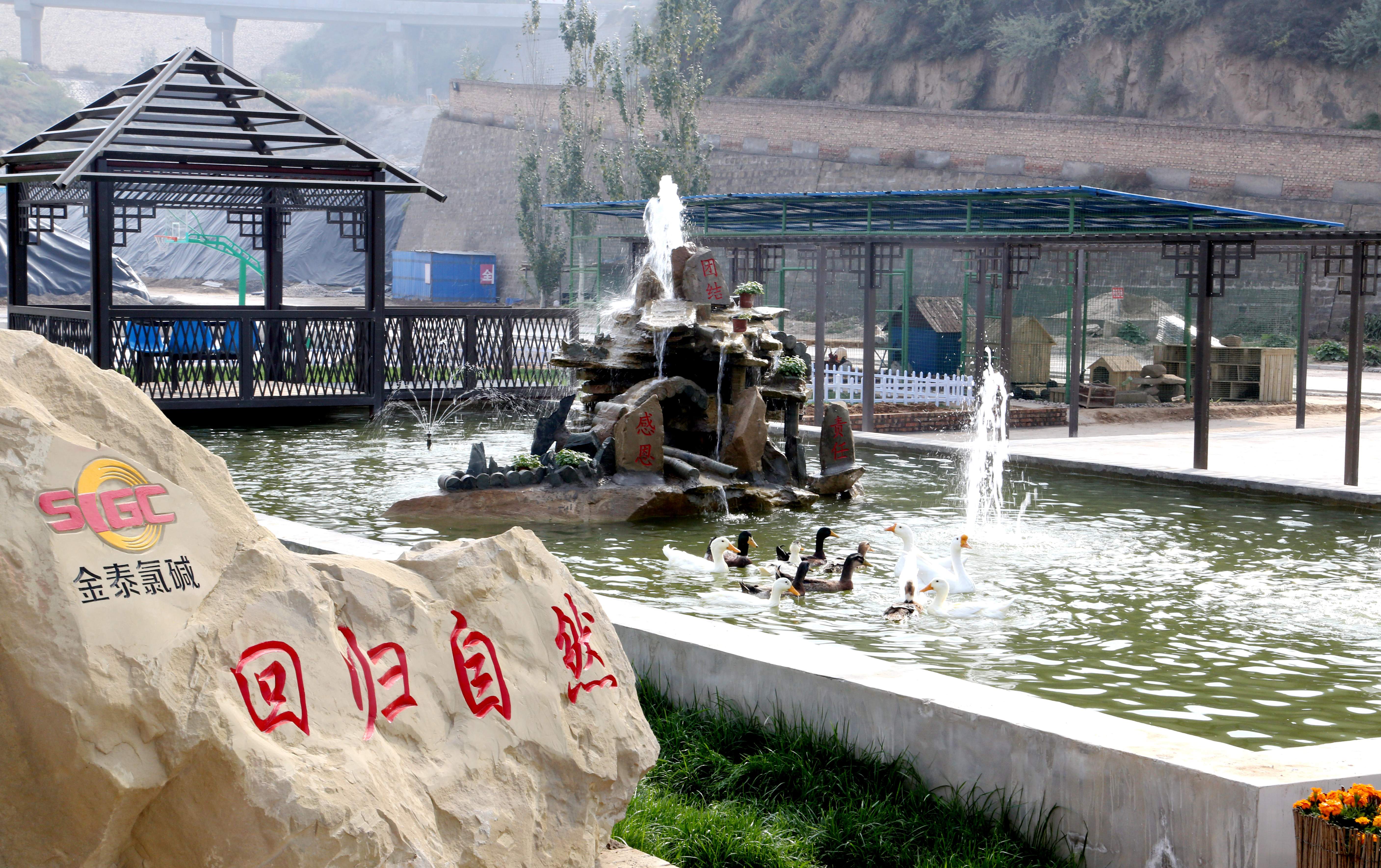 20220817123298.jpg 20220817123298.jpg