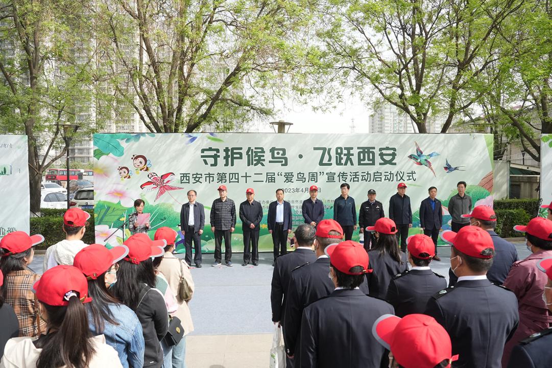 pg�ͽ�Ů��-(�ٷ���)�й���վ