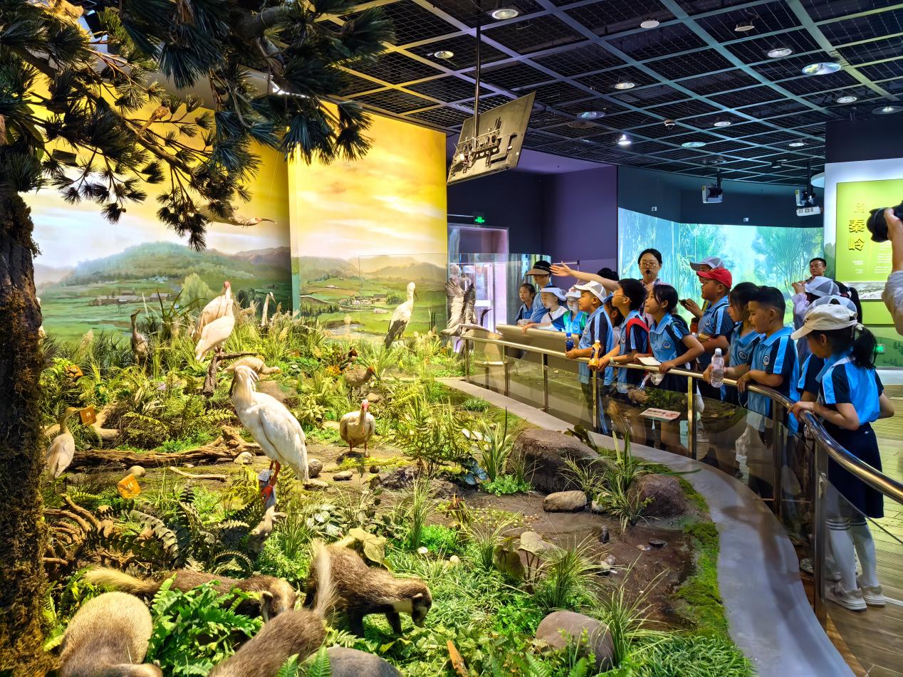 pg�ͽ�Ů��-(�ٷ���)�й���վ