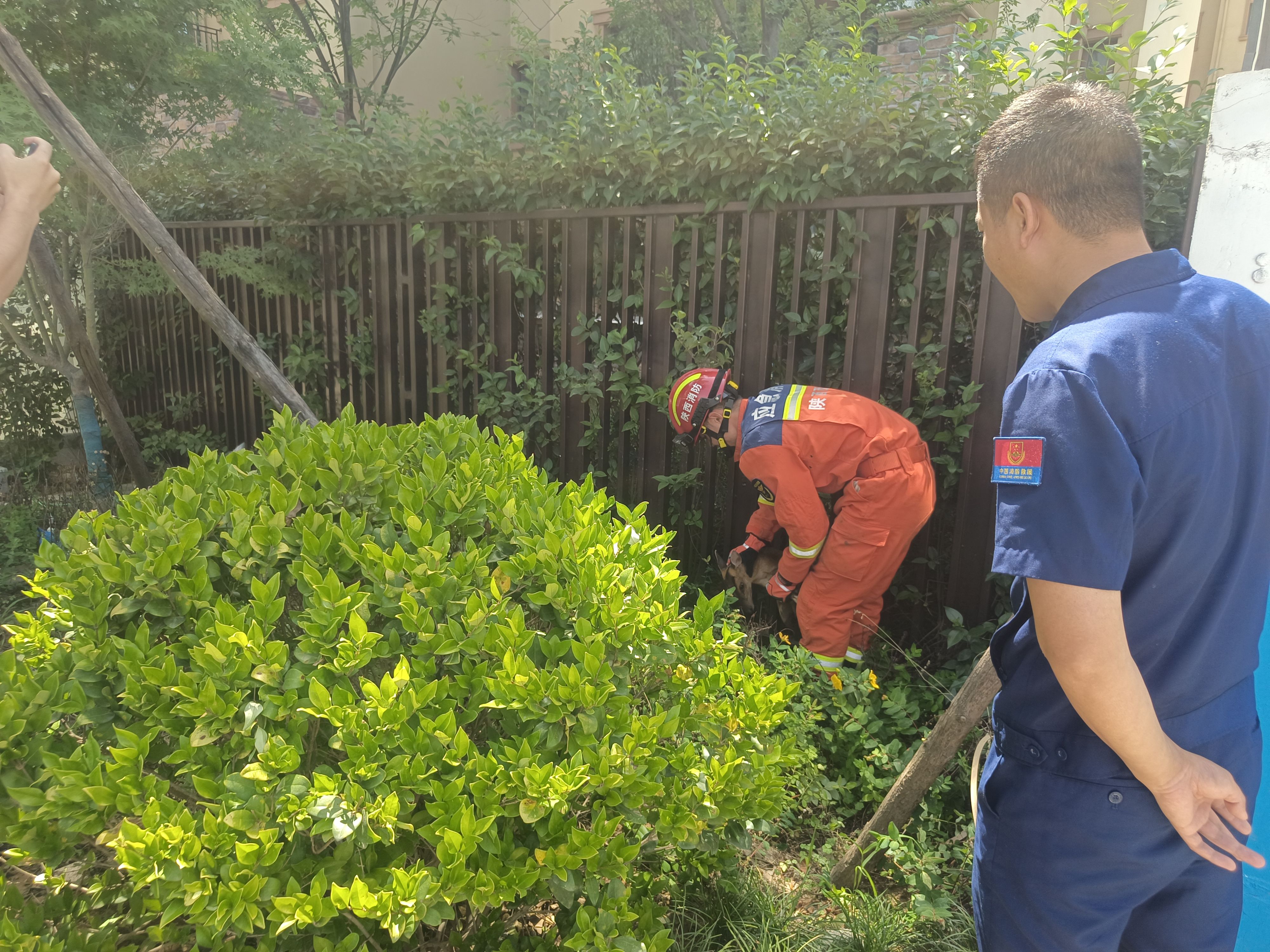 20240703463506.jpg 20240703463506.jpg