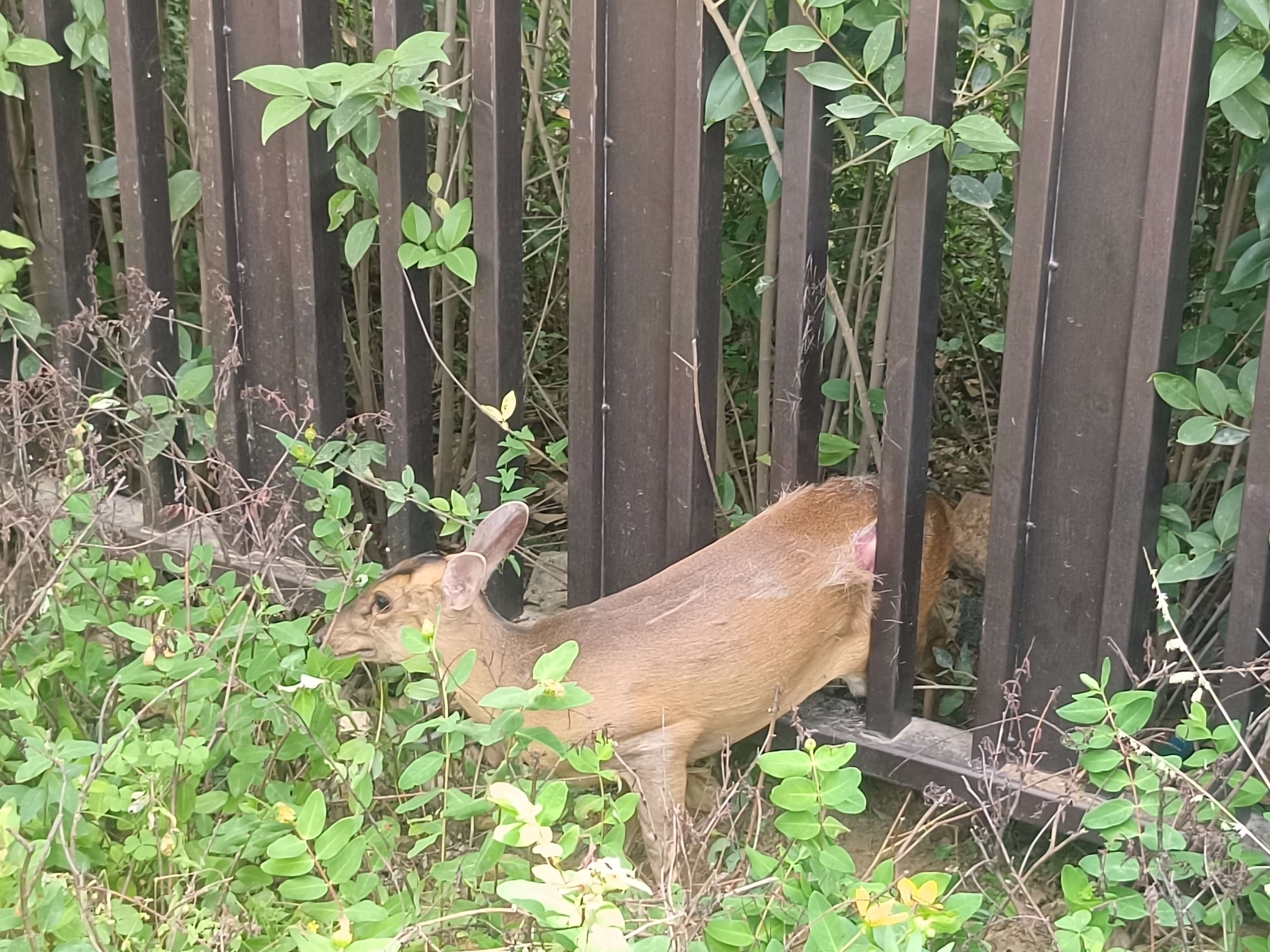 pg�ͽ�Ů��-(�ٷ���)�й���վ