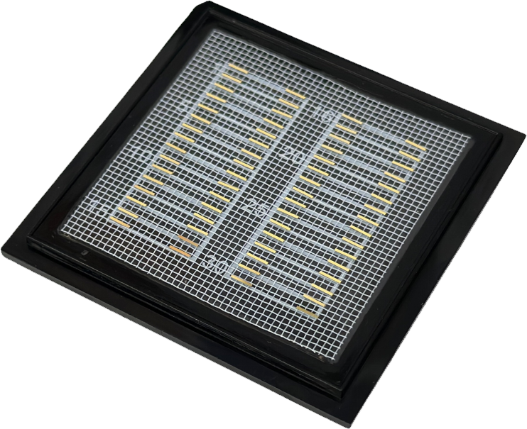 pg�ͽ�Ů��-(�ٷ���)�й���վ