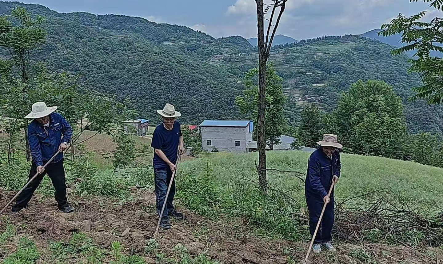 pg�ͽ�Ů��-(�ٷ���)�й���վ