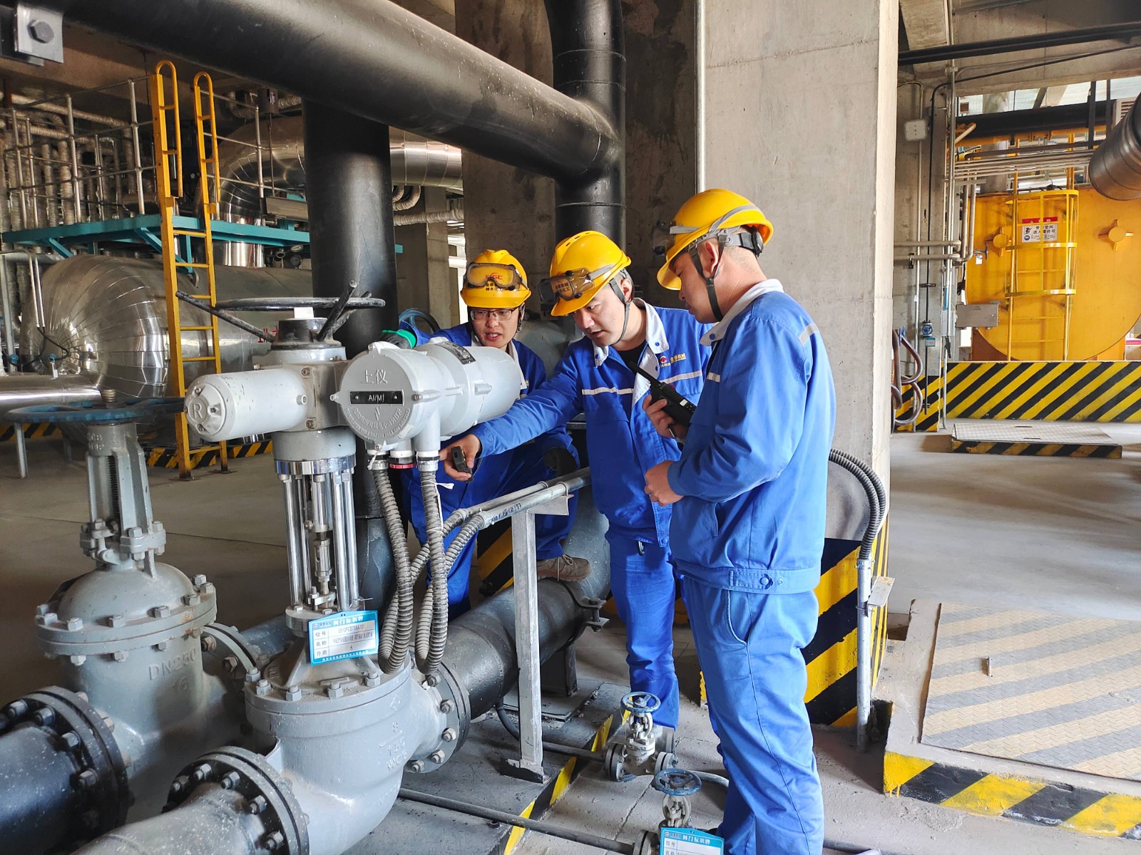 20250212916873.jpg 20250212916873.jpg