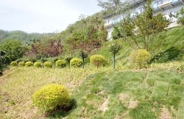 pg�ͽ�Ů��-(�ٷ���)�й���վ